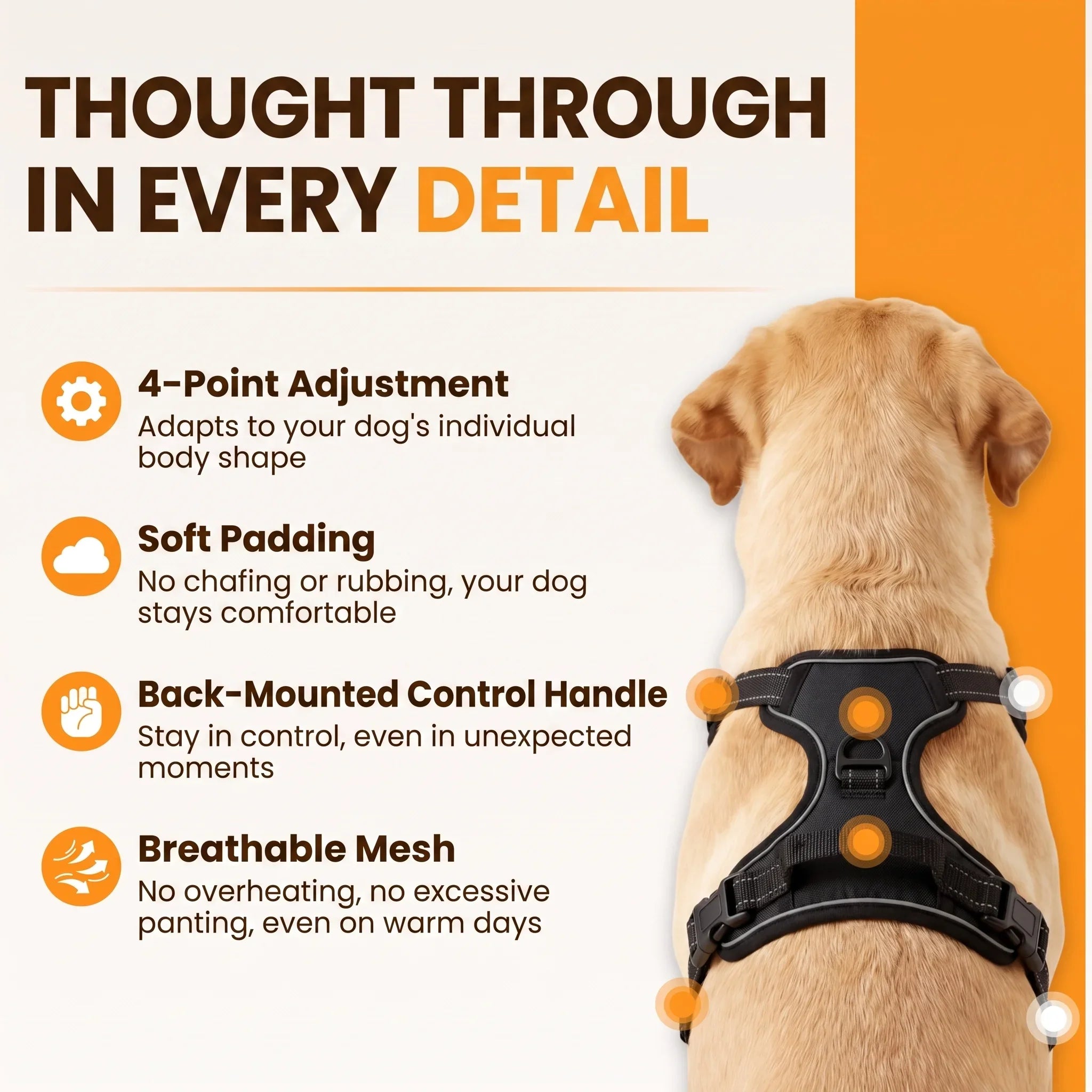 MowzyWalk™ No-Pull Harness